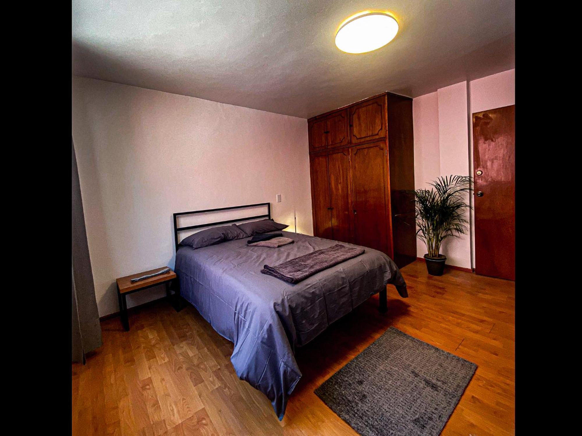 מקסיקו סיטי Central & Cozy Studio With Rooftop View 1 מראה חיצוני תמונה